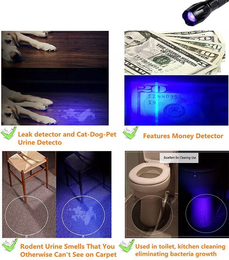 12UV Ultraviolet Flashlight Black Light 395nm 365nm Detector Urine Pet Stains