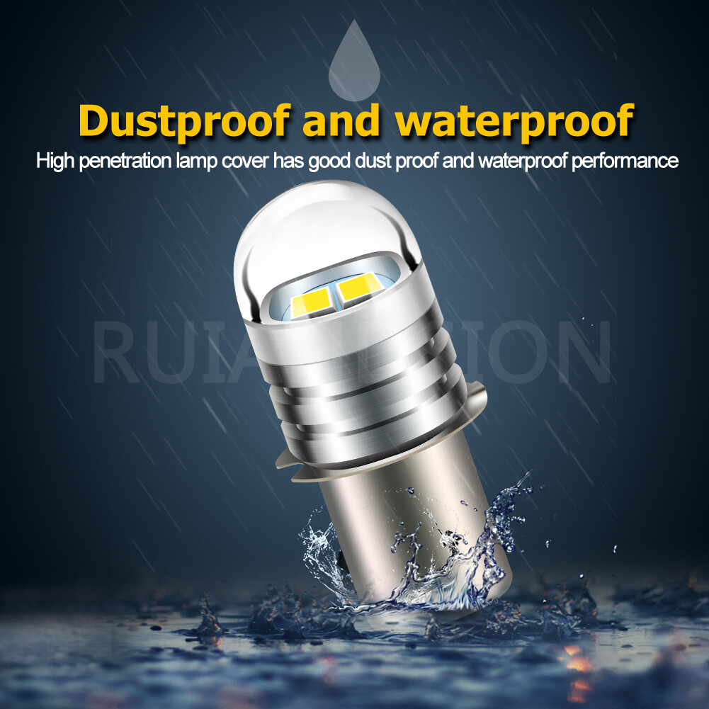 1x Ruiandsion LED Flashlight Upgrade Bulbs P13.5S 6V 4D Cell Torch Base Replace