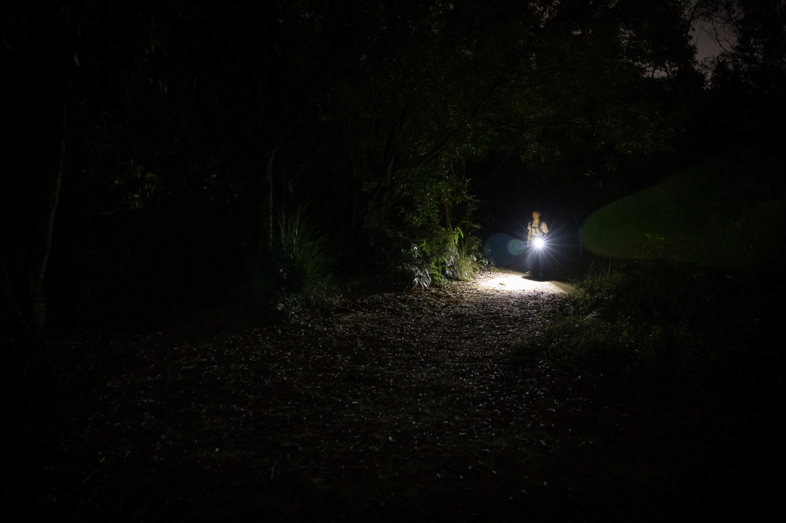 Olight Baton 4 Premium Fighter Pilot & Oclip Pro Phantom Squadron Flashlights
