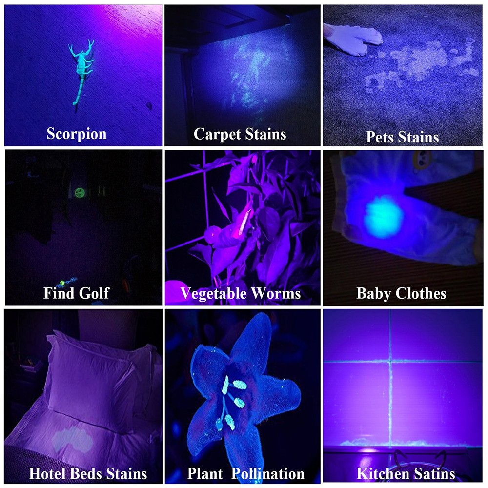 4X 395nm UV Light Penlight Black Light Scalable Clip Pen Light Pocket Flashlight