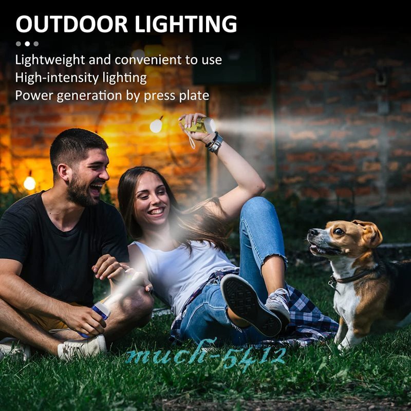Powerful Handpress Dynamo 3LED Hand Crank Flashlight Camping Emergency Torch
