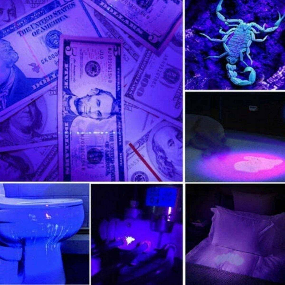 2PC UV Violet LED Flashlight Purplelight Light 395 NM Inspection Lamp Torch-=//
