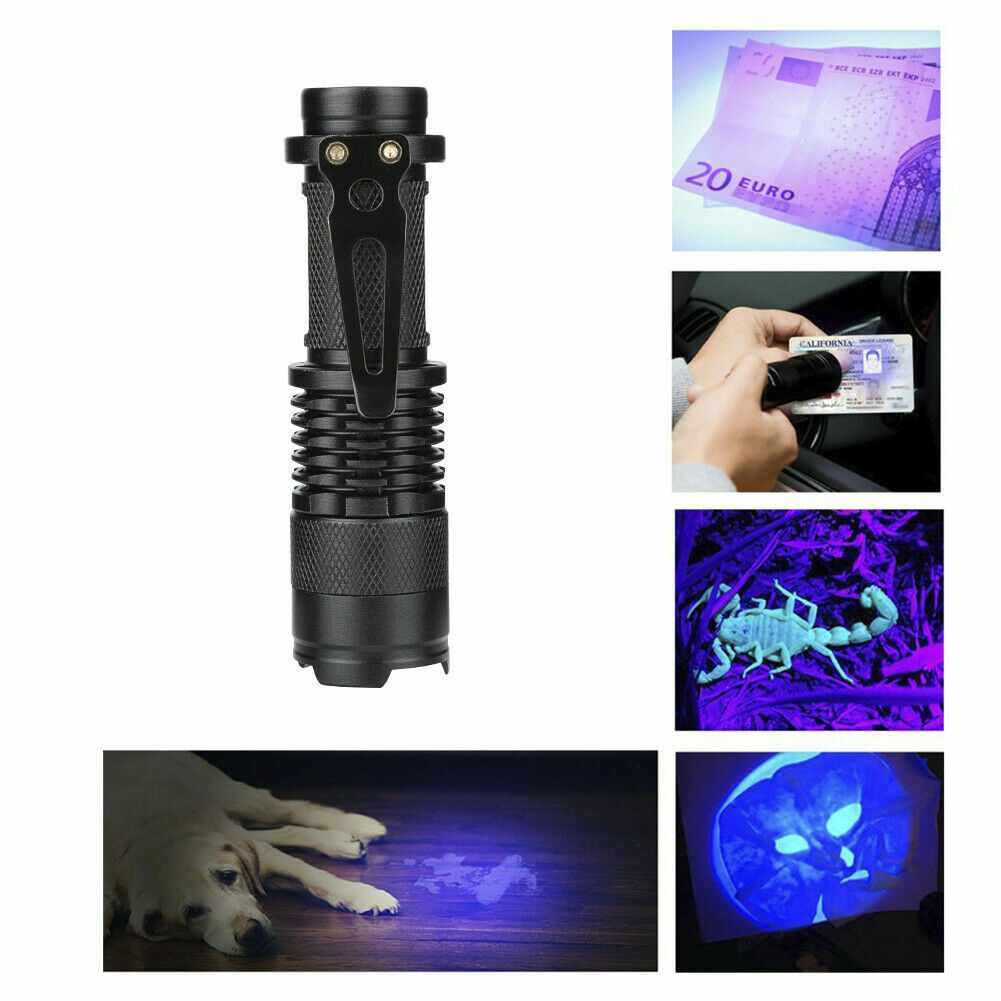 Black Light UV Flashlight – 395nm – Detects Stains & Urine – Zoomable Feature