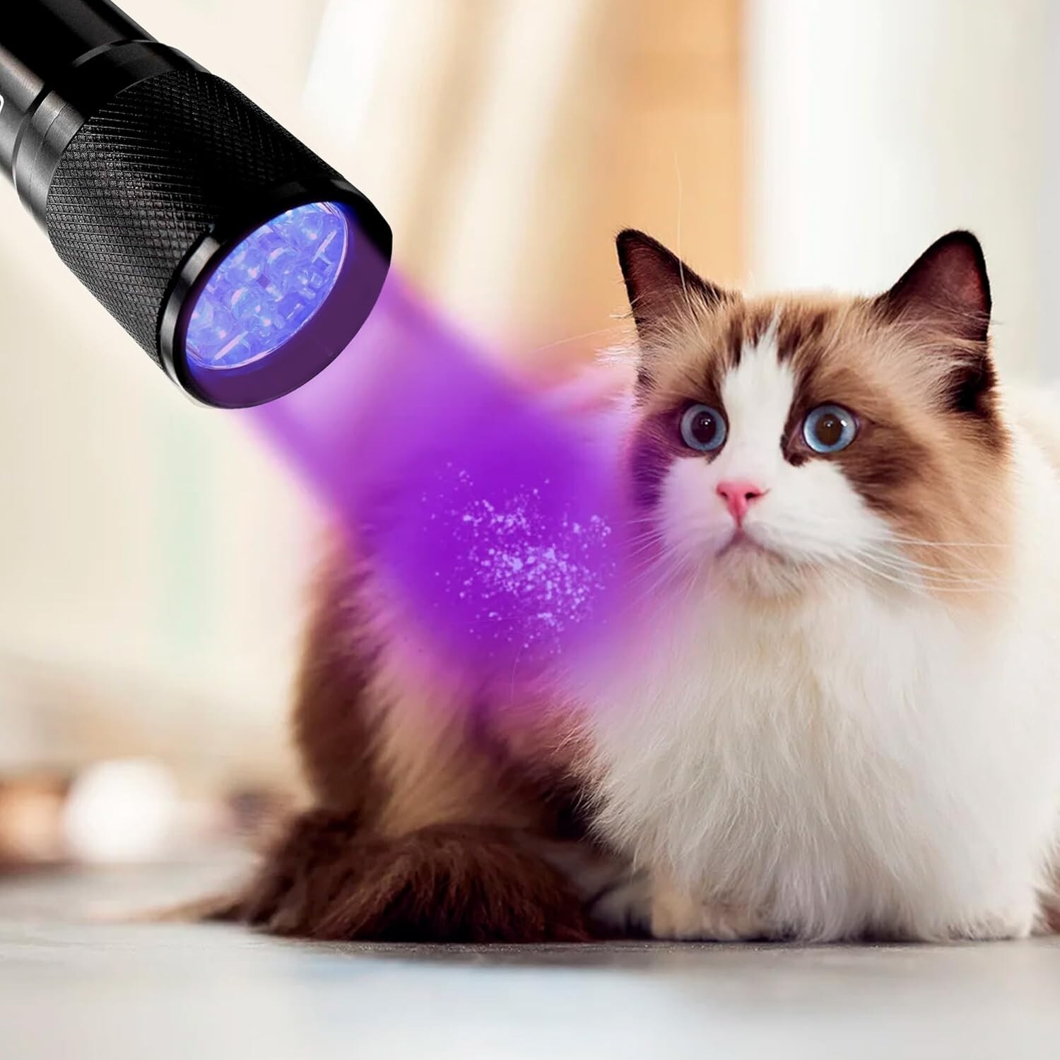 Professional 365 nM 9 UV LED Ultraviolet Rocks / Stones Illumination Flashlight