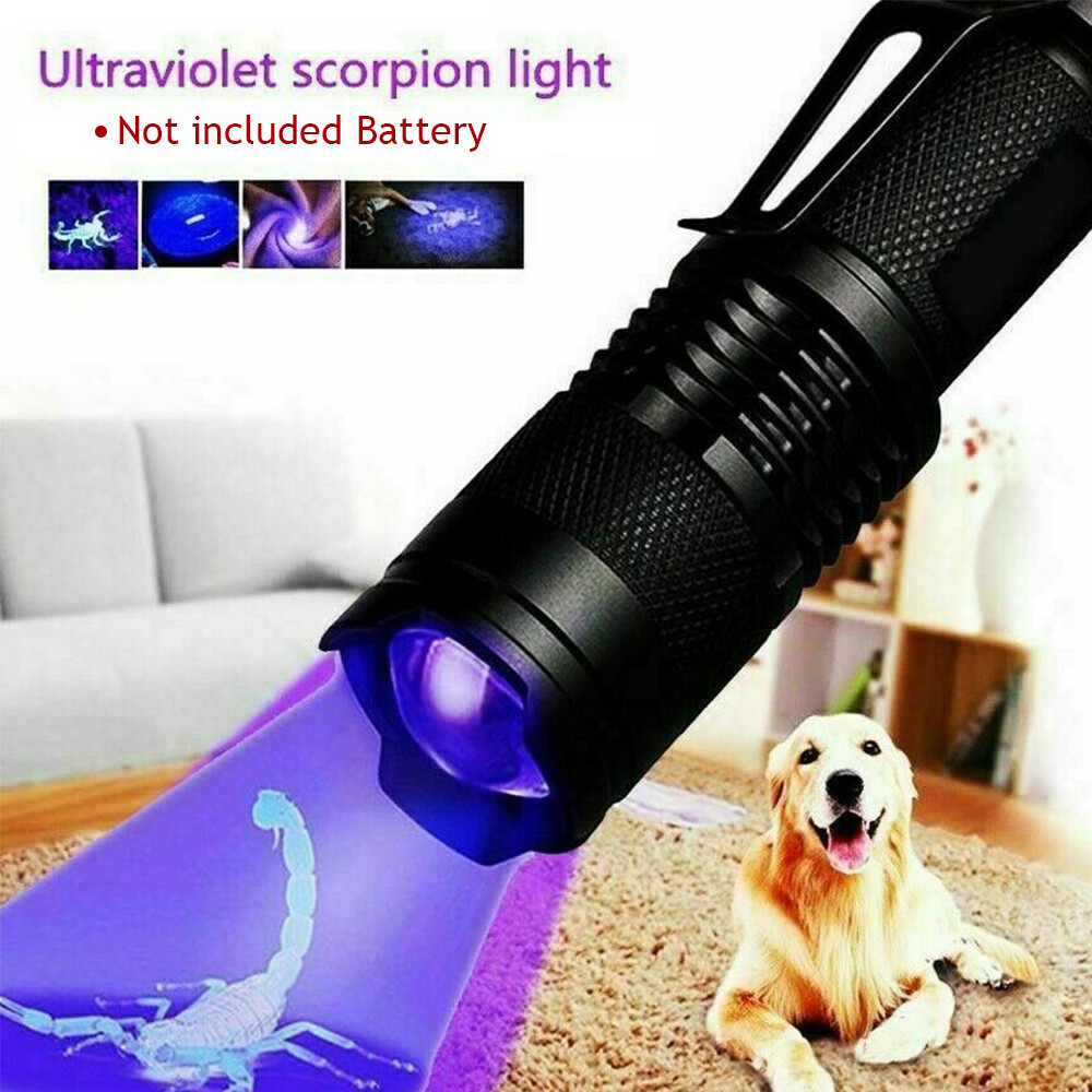 Black Light UV Flashlight – 395nm – Detects Stains & Urine – Zoomable Feature