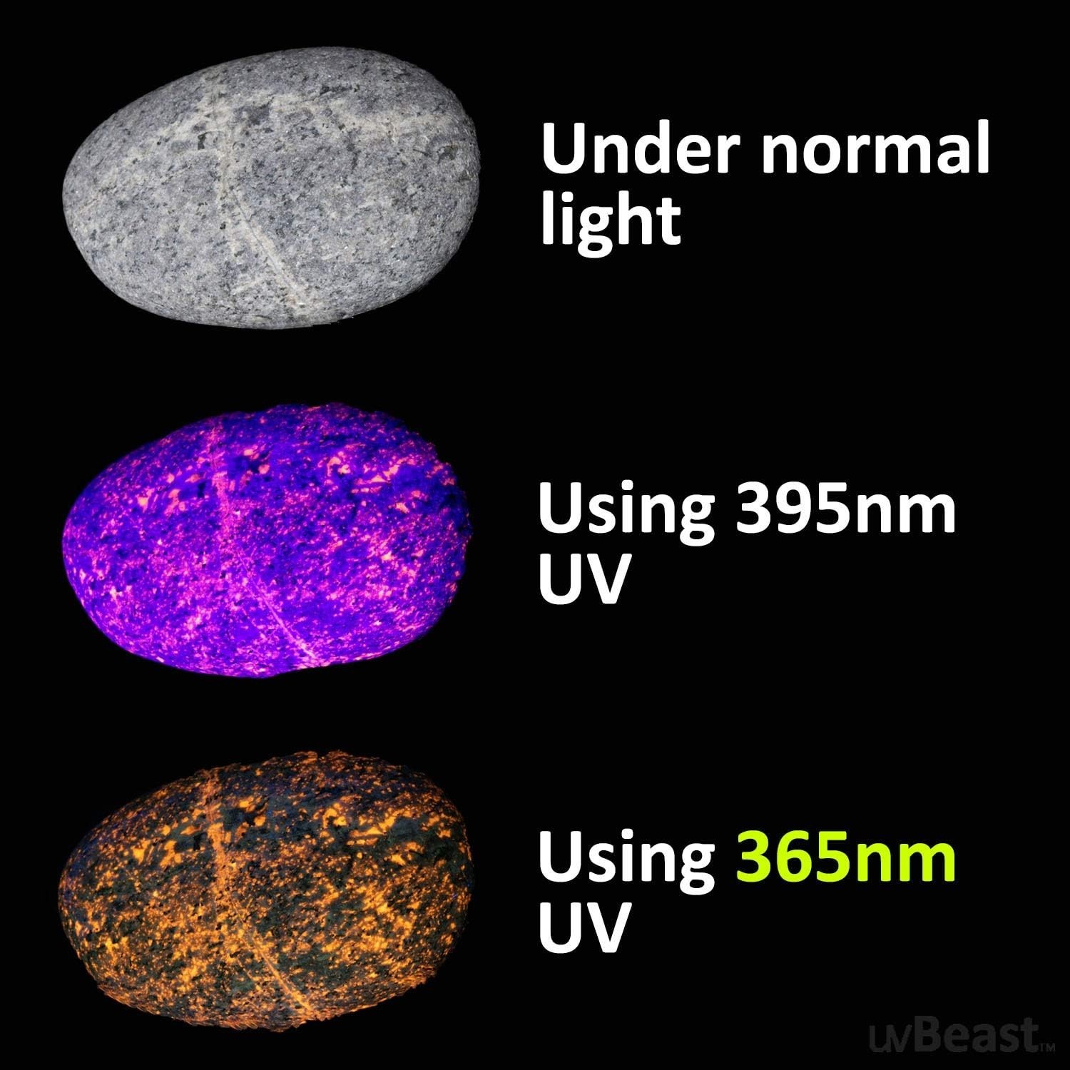Long Range Professional UV Flashlight – High Intensity Beam