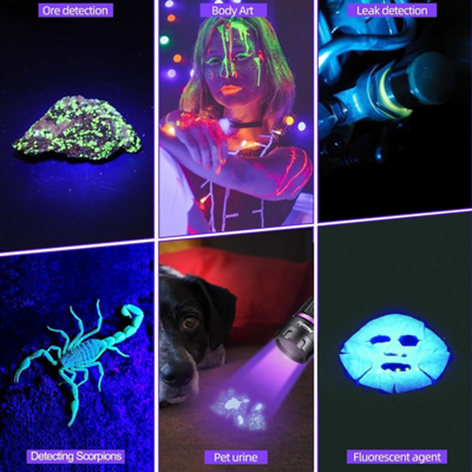 Mini 365nm UV Flashlight Blacklight USB C Rechargeable Wood Lamp Money Detector