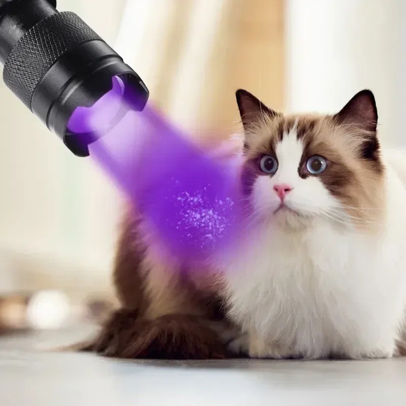 UV Flashlight LED Ultraviolet Torch 365nm 395nm Dual Light – Zoomable Mini Black
