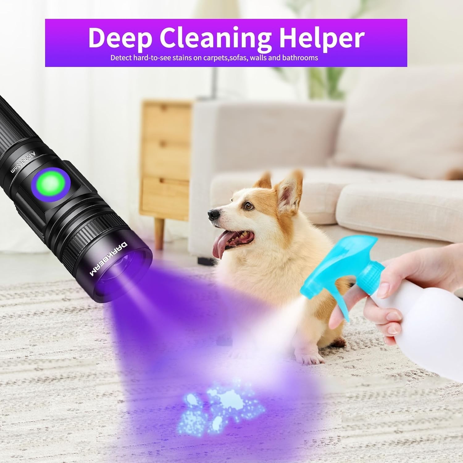 UV Black Light Flashlight 395nm – Rechargeable USB Woods Lamp, Powerful Mini …