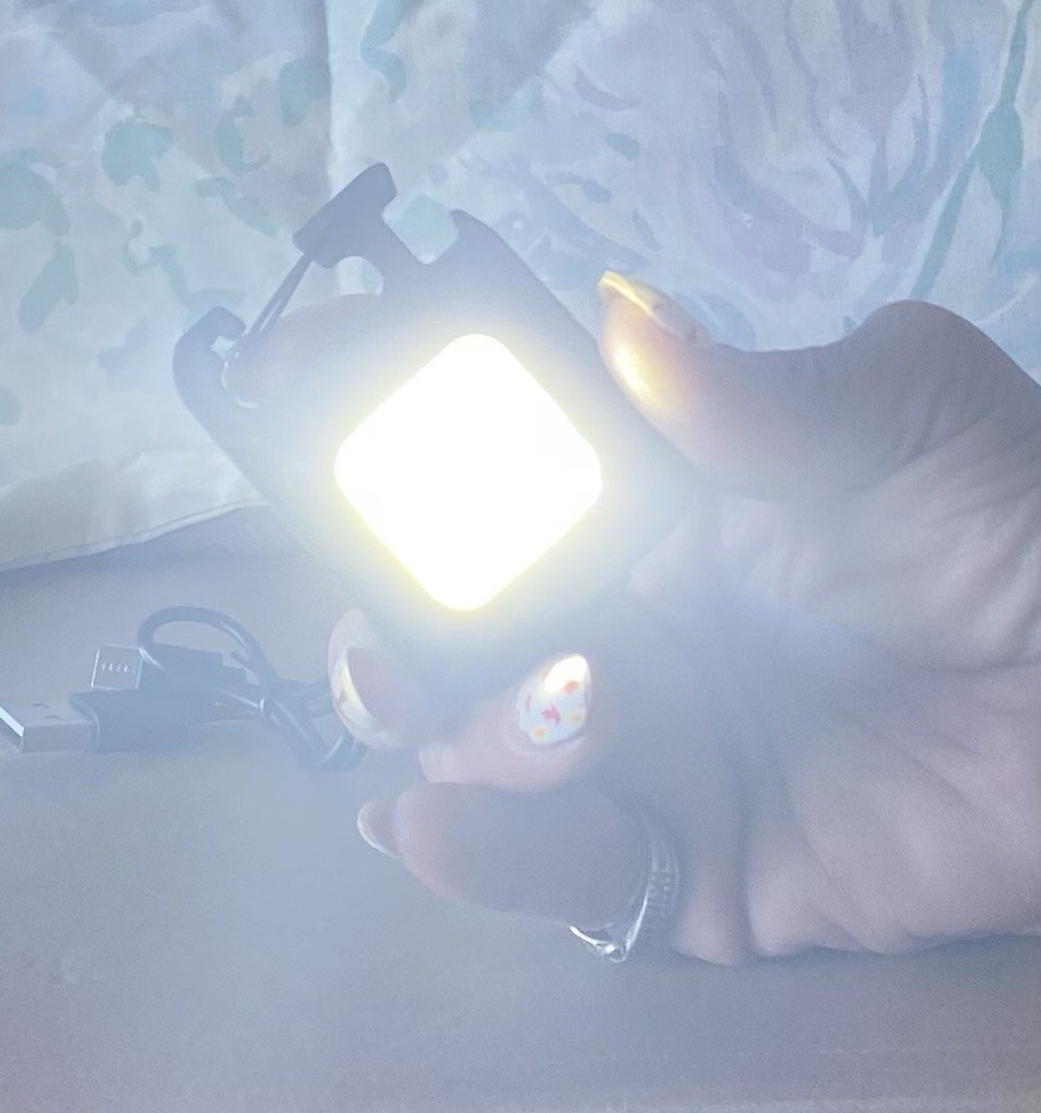 COB Worklight 500 Lumens 3 Light Mode FLASHING AWS branded USB Rechargeable NEW