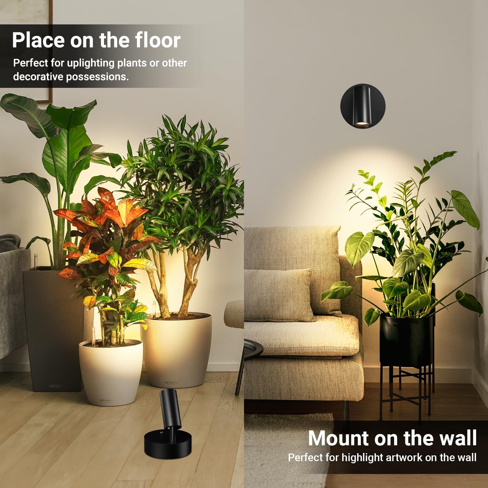 TaoFiaCo Spotlight Black 1 Pack
