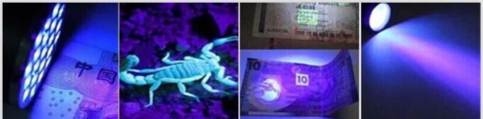 UV 9 LED Pocket Black Light Vaseline Glass Detect Stain Urine Semen Lice Bed Bug