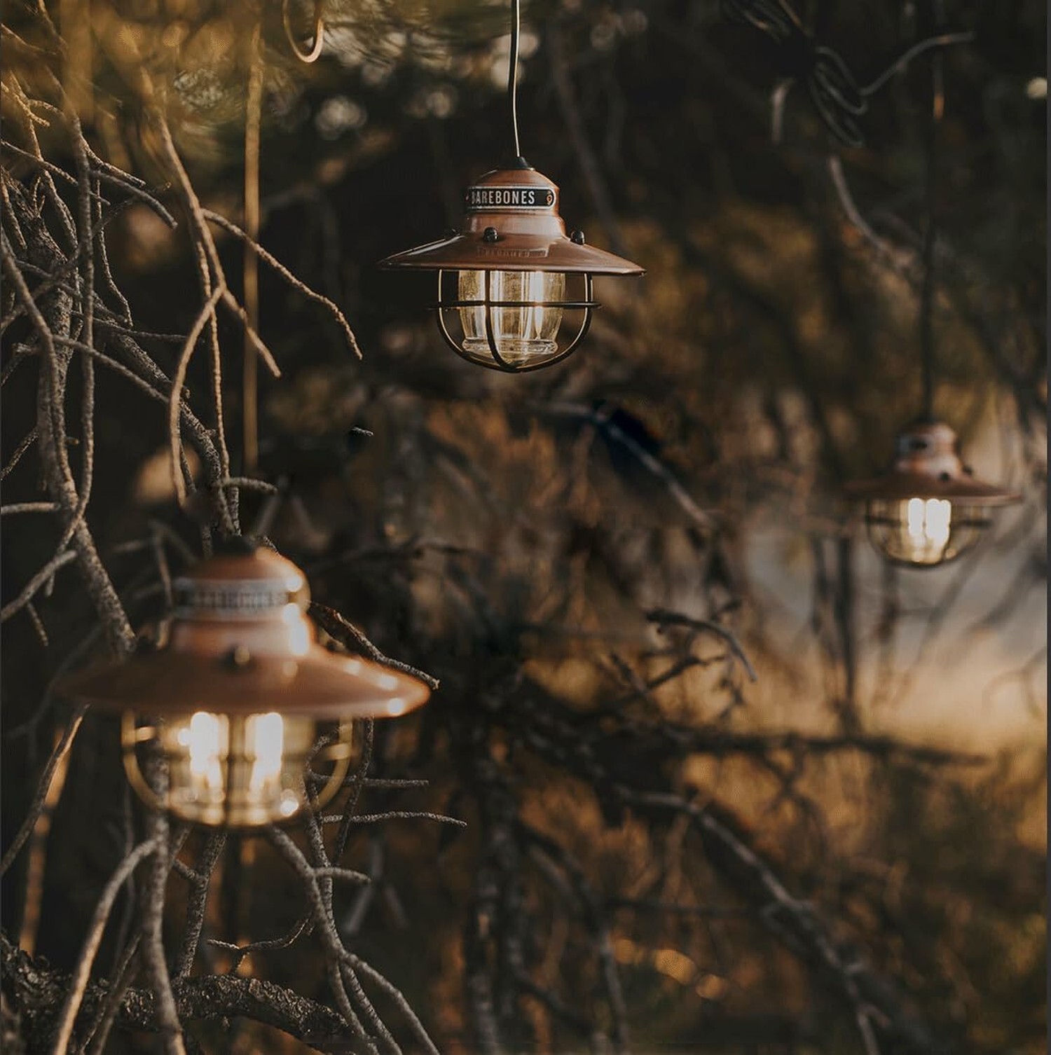Barebones Edison Pendant String Lights – Copper, 3 Edison-Style LED Bulbs wit…