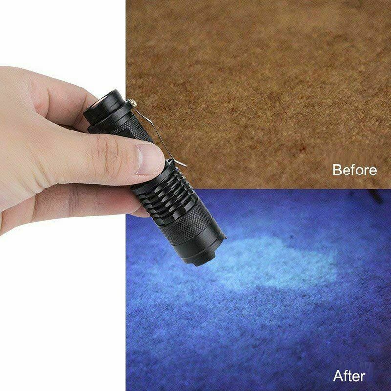 Ultra Violet LED Flashlight 395nm UV Blacklight Inspection Lamp Zoom Small Torch