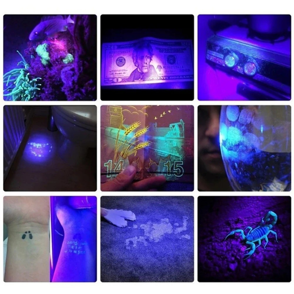 Portable UV Flashlight 395nm LED Black Light Torch Pet Urine Stain Detector Lamp