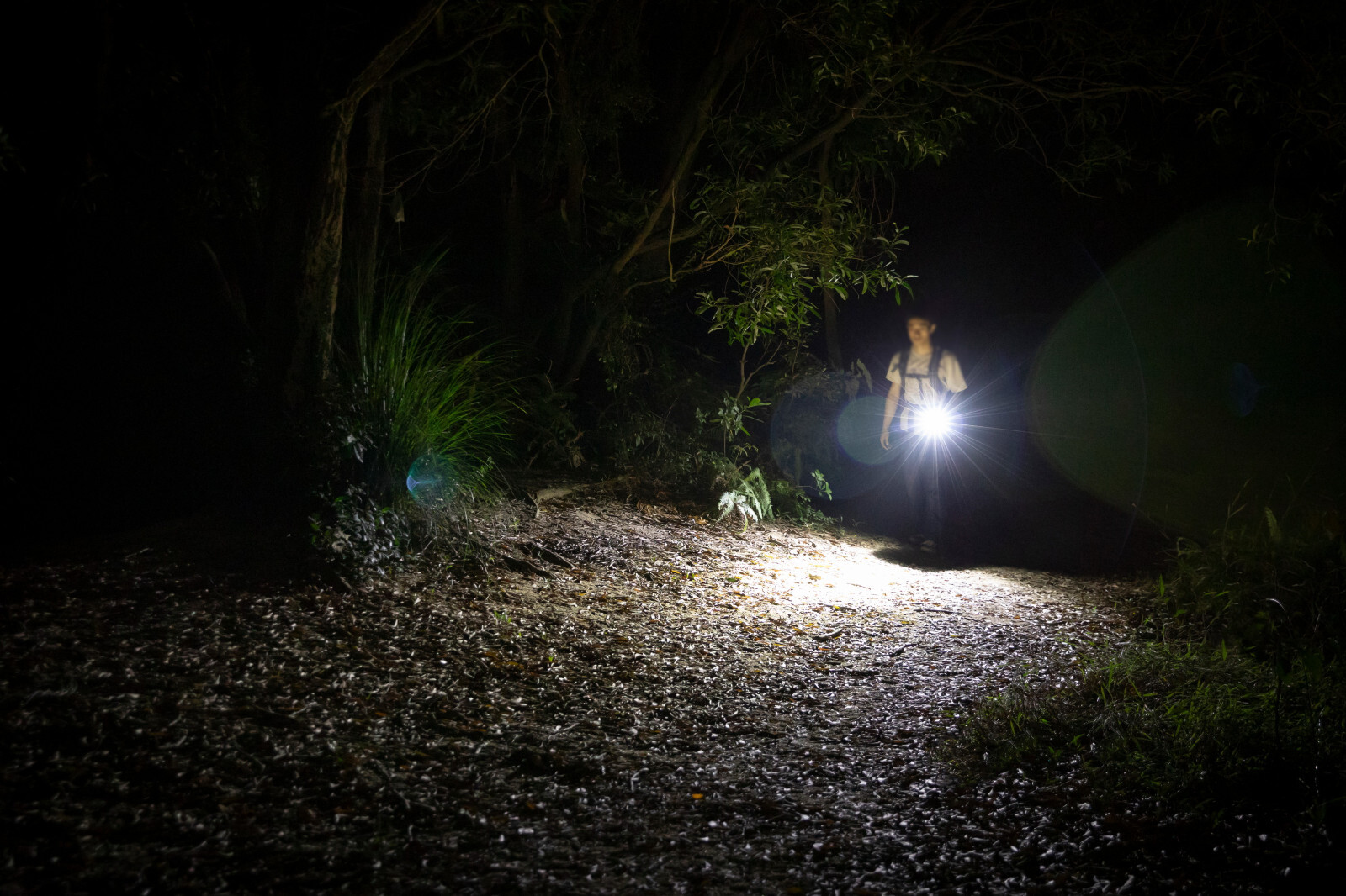Olight Baton 4 Premium Fighter Pilot & Oclip Pro Phantom Squadron Flashlights