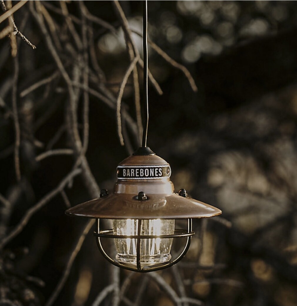 Barebones Edison Pendant LED Light Bronze Powder Coated Steel – New in Box