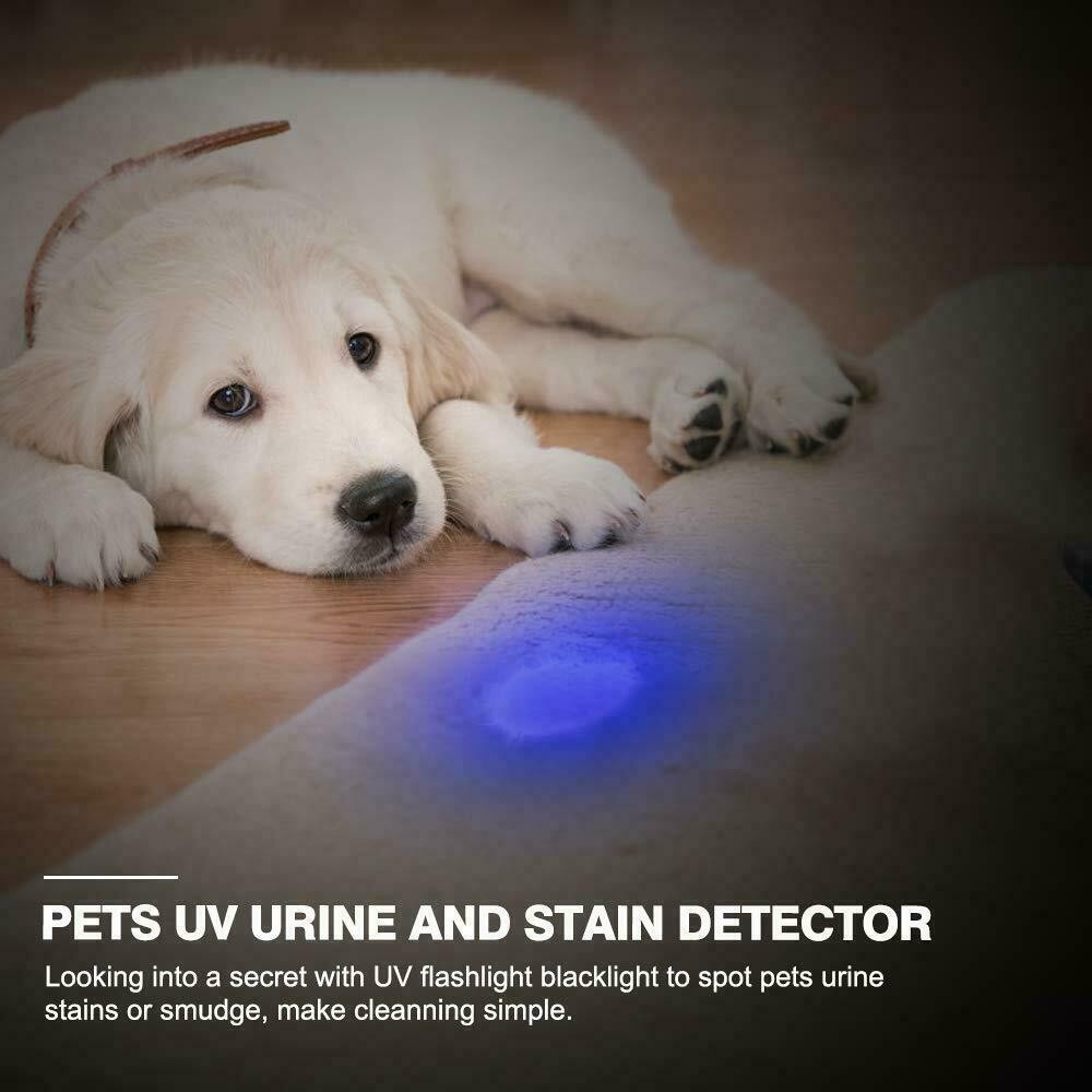 UV Ultraviolet Flashlight Black Light Flashlight LED Pet Urine Stains Detector