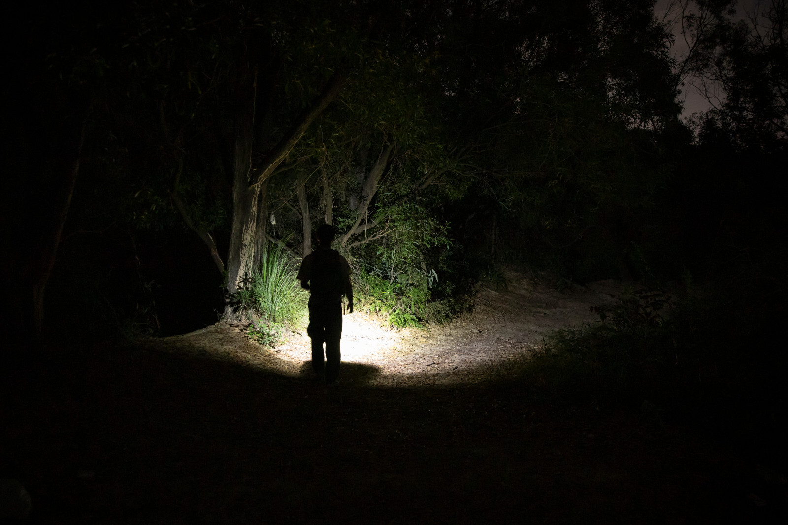 Olight Baton 4 Premium Fighter Pilot & Oclip Pro Phantom Squadron Flashlights