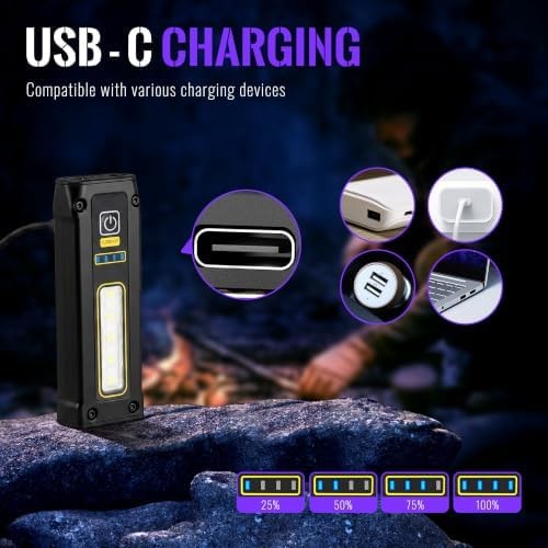 Flashlight UV Light 395nm, Blacklight EDC Flashlights Mini LED high Lumen USB…