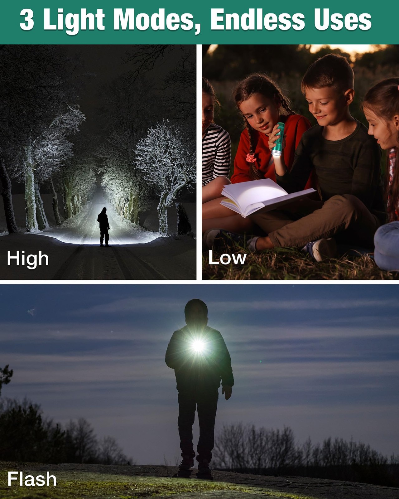 EverBrite 300LM LED Flashlight 3 Lighting Modes IP54 Flash Light 3 AAA Batteries