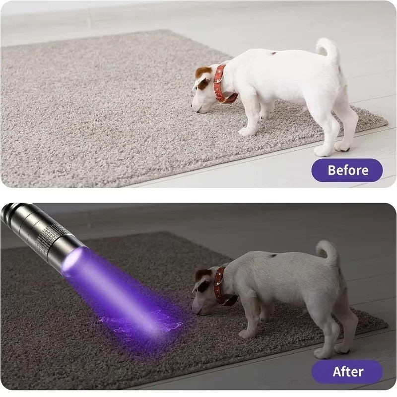 UV Pen Light 395nm Black Light Portable Ultra Violet Pocket Flashlight Mini