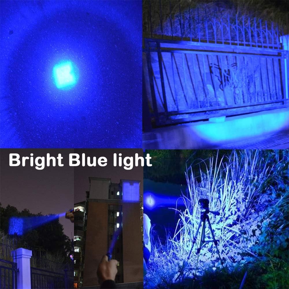 Pack of 5 Multicolored 3-Mode Flashlight: Red,Green Blue 395 UV White LED Light