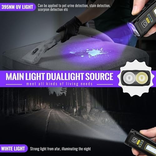 Flashlight UV Light 395nm, Blacklight EDC Flashlights Mini LED high Lumen USB…