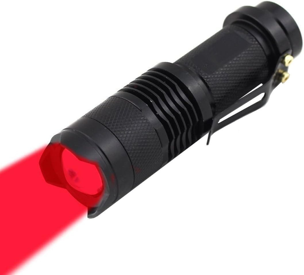 Portable Red LED Flashlight with Strobe Feature – Ideal for Nighttime Adventures