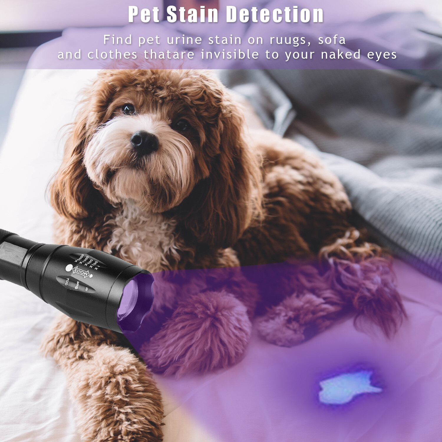 UV Torch Ultra Violet Flashlight White+Purple LED Blacklight Inspection 2 Mode