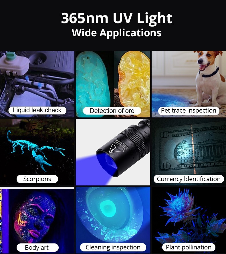 2-in-1 Dual Light LED Flashlight White & UV Black Light for Detection Camping